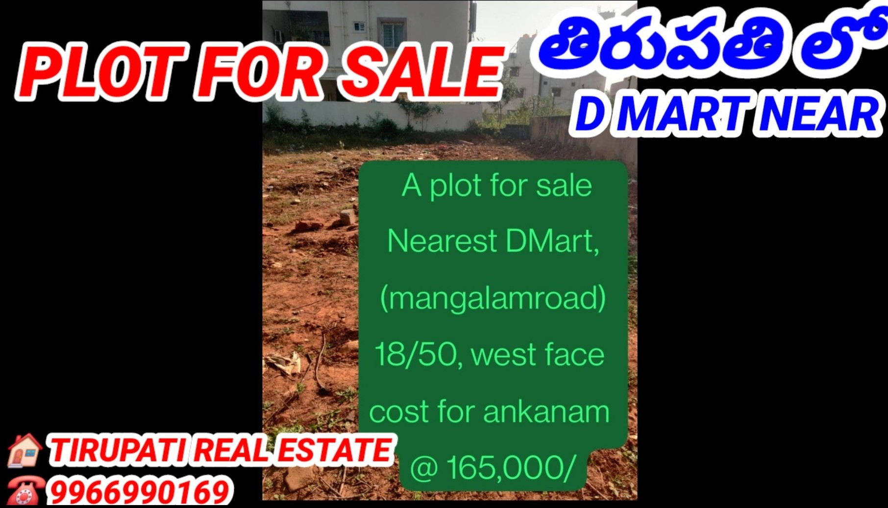 Additional Listing Image