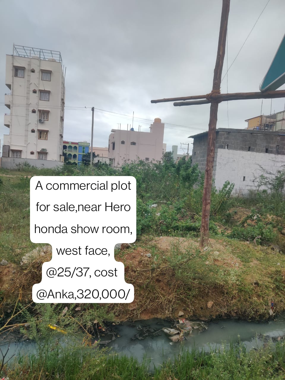 Additional Listing Image